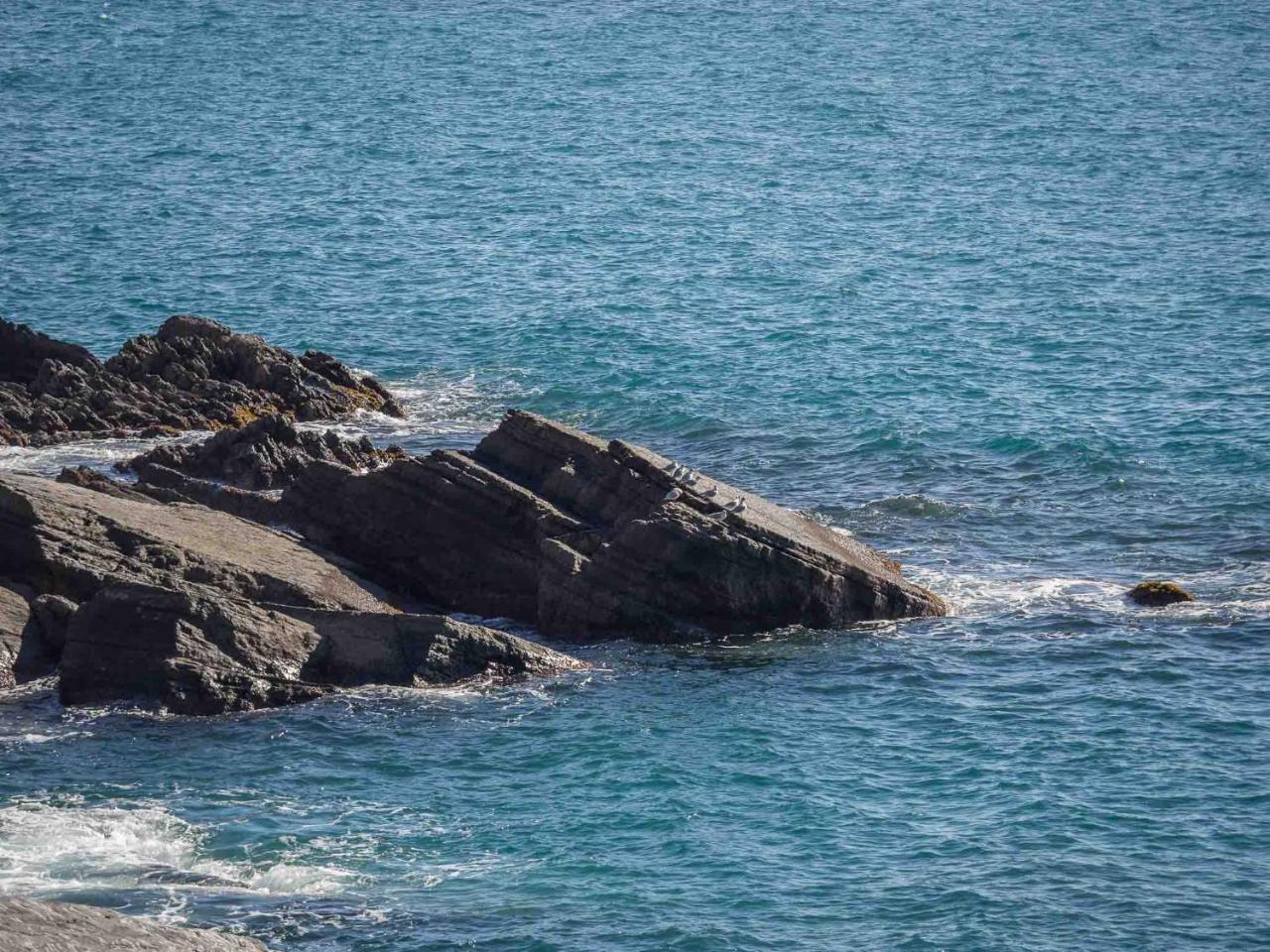 Unda de Ma Sea View Terrace Apartment Vernazza Exterior foto